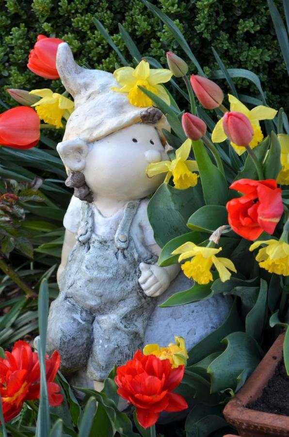 Zimmervermietung Groeberhof Schenna Bagian luar foto