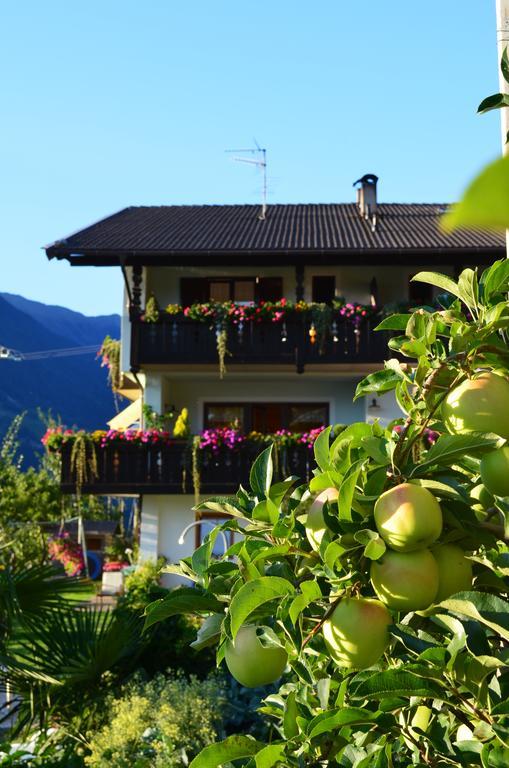Zimmervermietung Groeberhof Schenna Bagian luar foto